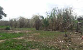 Imagem 4: Chacreamento Oasis Gv