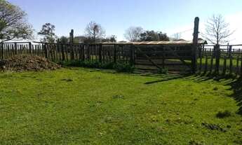 Imagem 2: Fazenda completa com 400ha Santo Antônio das Missões