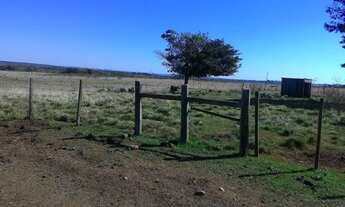 Imagem 6: Fazenda completa com 400ha Santo Antônio das Missões