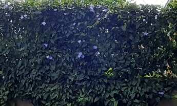 Imagem 2: Casa à venda no bairro Ferraz - Garopaba/SC