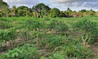 Imagem 5: TERRENO RESIDENCIAL em TRANCOSO - BA, 15 km de Arraial D'ajuda e a 23 km de Trancoso