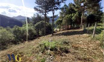 Imagem 3: Chácara para Venda em Campo Largo, Itambézinho, 2 dormitórios, 1 banheiro, 2 vagas