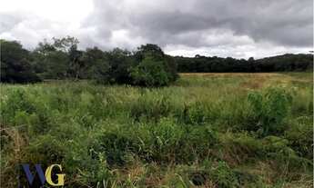 Imagem 7: Terreno Rural para Venda, Rodeio Chapada