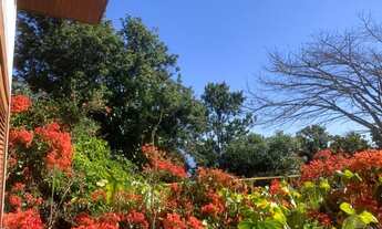 Imagem 6: FLORIANóPOLIS - Casa Padrão - Centro