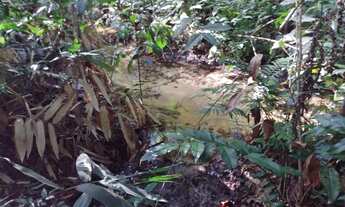 Imagem: Chácara de 12,5 hectares. Com Córrego