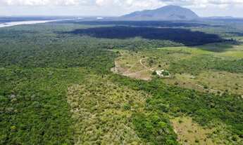 Imagem 4: VENDO SÍTIO COM 580 HECTARES 60 KM DA CAPITAL DE BOA VISTA
