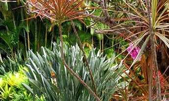 Imagem 6: Casa à venda em Niterói/RJ