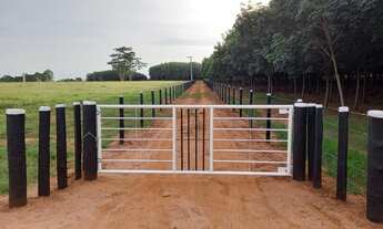 Imagem 2: Chácaras em balsamo.20.000 metros, cada