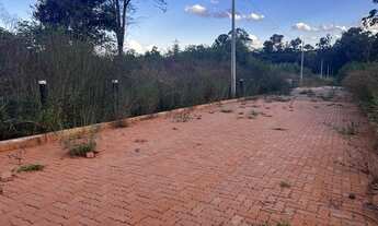 Imagem 2: 26 DE SETEMBRO, LOTE NA AVENIDA PRINCIPAL