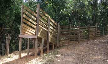 Imagem 7: Sítio no Almeidas em Amparo