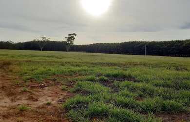 Imagem 5: Chácaras em balsamo.20.000 metros, cada