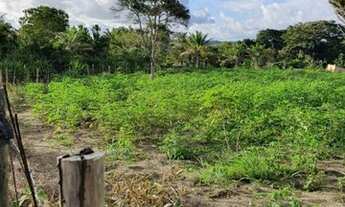 Imagem 4: TERRENO RESIDENCIAL em TRANCOSO - BA, 15 km de Arraial D'ajuda e a 23 km de Trancoso