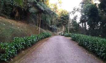 Imagem 4: Lote no condomínio Monte Verde