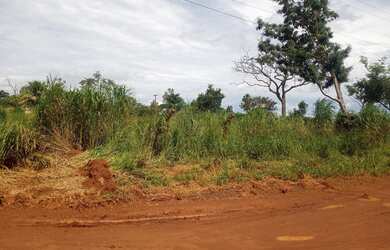 Imagem 5: Chácara em Goiânia