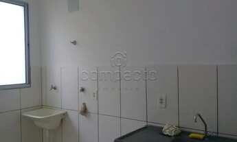 Imagem 6: Apartamento Padrão em São José do Rio Preto