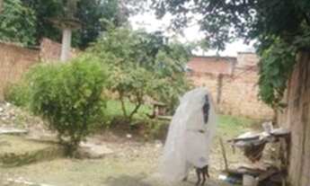 Imagem 4: Terreno com casa monte Oliveira