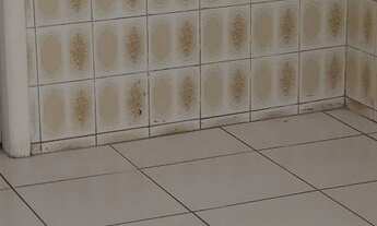 Imagem 6: Casa Aluga se Casa com 2 dormitórios