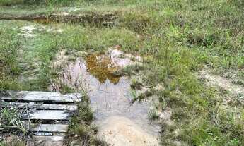 Imagem 2: FAZENDA EM MATA DE SÃO JOÃO EXCEPCIONAL LOCALIZAÇÃO OPORTUNIDADE