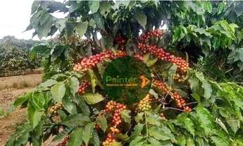 Imagem 5: Fazenda à venda, 3949439 m² por R$ 12.000.000 - Turvolandia - Turvolândia/MG