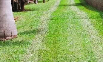 Imagem 3: Lindo rancho/chacara pé na agua Adolfo