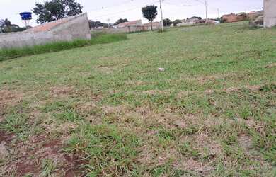 Imagem 7: Lote comercial(Agio