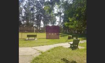 Imagem 6: Parque dos Eucaliptos ao lado do shopping Bandeiras