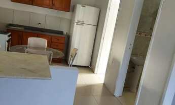 Imagem 4: Apto anual RATONES