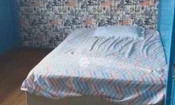 Imagem 5: Casa 4 dormitórios a Venda Praia do Sonho/Passagem Maciambu, Palhoça/SC