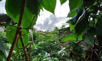 Imagem 7: Terreno na Vila Guaíra 472,50 m2 10,50 x 45,00 ZR-3