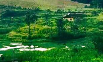 Imagem 6: Lote/Terreno para venda com 500m² em Cotia - SP