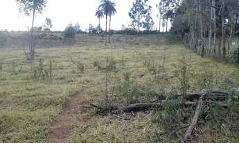 Imagem 6: CHACARA DE 5.000 M2 IGARAPÉ PRÓXIMO A SADA