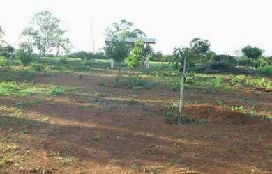 Imagem 3: Sitio 2.300m² casa nova, poço artesiano, Baldim (Temos varias opções)