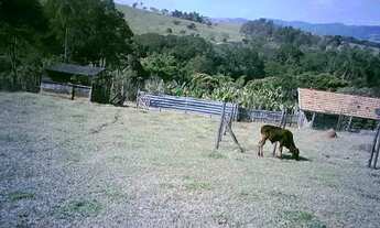 Imagem 7: Excelente Chácara - Zona Leste!!