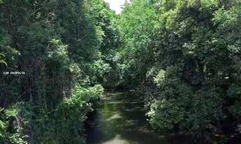 Imagem 6: Sítio / Chácara para Venda em Bocaiúva do Sul