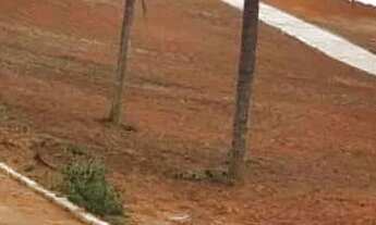 Imagem 5: Terreno em Vitória de Santo Antão