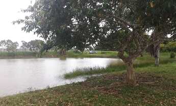 Imagem 5: ALUGO OU VENDO Casa com 3 dormitórios