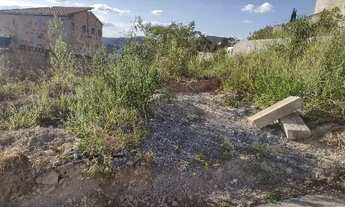 Imagem 3: Meio Lote Perola Negra Santa Luzia