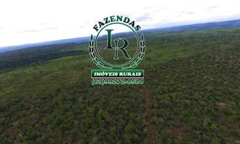 Imagem 5: Fazenda 216 Alqueires Bruta Luzimangues