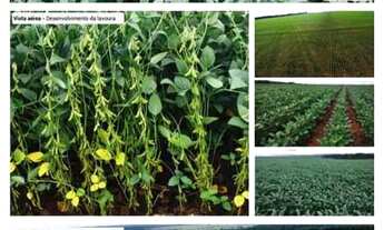 Imagem 6: Fazenda 6.402 hec em nova motum MT. 150 milhões