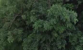 Imagem 3: Lote/Terreno para venda com 484 metros quadrados em Florida - Guaíba - Rio Grande do Sul