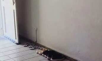 Imagem 5: Vendo essa casa a menos de 300m da Praia!