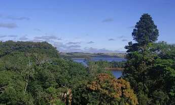 Imagem 3: Chácara em Avenida Rio São Francisco - Piratuba - Ibiúna/SP