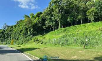 Imagem 2: Area de terra com 4,3 hectares a venda cxs