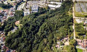 Imagem 5: Terreno no Abranches com 11.659 m²