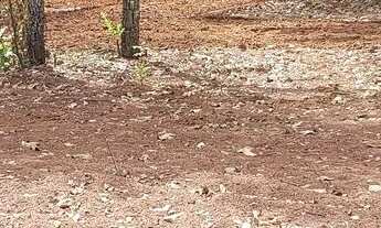 Imagem 2: SÓ ESSA SEMANA NÃO PERCA A OPORTUNIDADE!