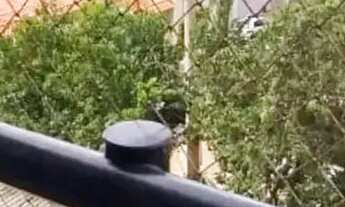 Imagem 3: Apartamento à venda no Edifício Tabatinga em São Carlos/SP