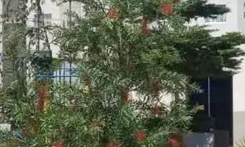 Imagem 4: Apartamento Novo Gama Condomínio