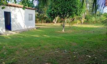 Imagem 2: Vendo um sítio e uma casa no porto do mocagituba, Paço do Lumiar