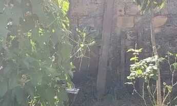 Imagem 3: Lote em Rua Escritor Rui Barbosa - Belvedere - Ribeirão das Neves/MG