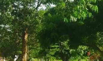 Imagem 4: Casa com 03 quartos, loteamento fechado, Vila dos Eucaliptos, Rua do Catu